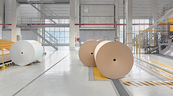 Warehouse interior with large windows, showing rolls of different types of paper stored inside.